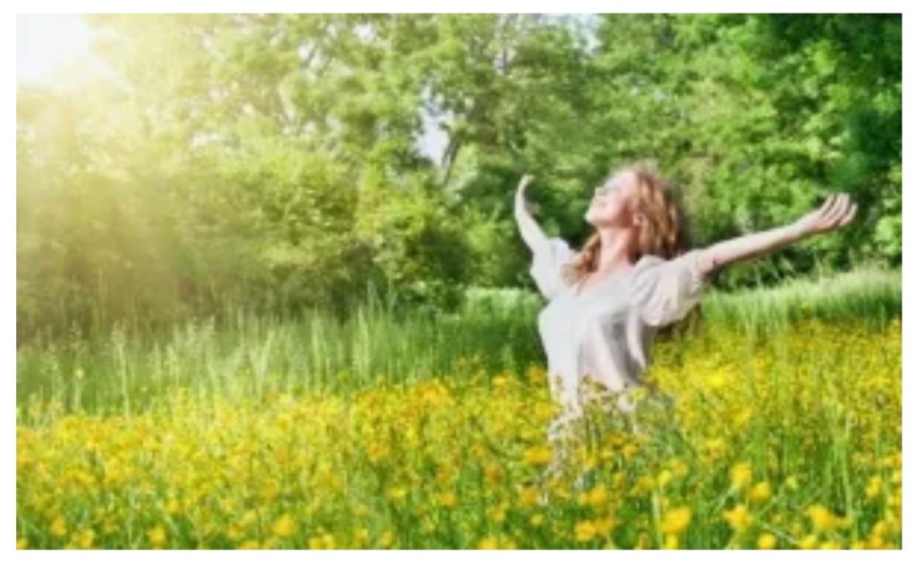 Crowned With Goodness (טוב) And Dripping With Abundance&nbsp;(דשן).