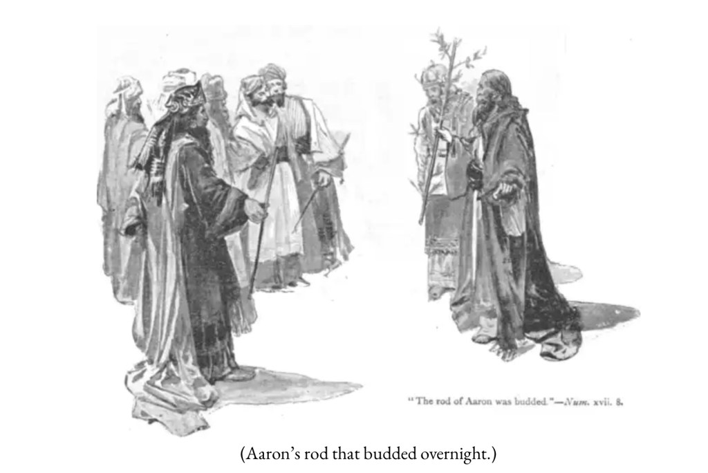 Ephraim And The House Of Judah: Part 8 of&nbsp;9.