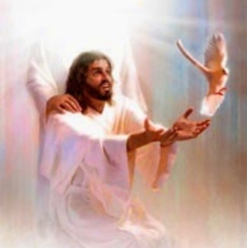 It’s All About The Son:&nbsp;[בר]