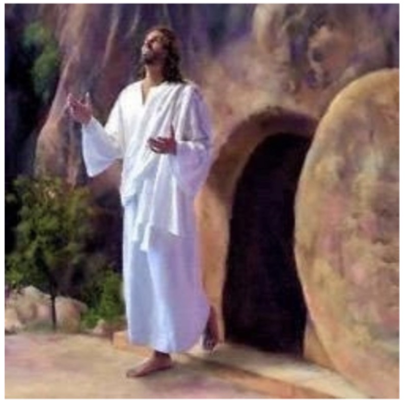 What’s In Your Water: Ashes Of The Red Heifer Part 6 Of&nbsp;9.